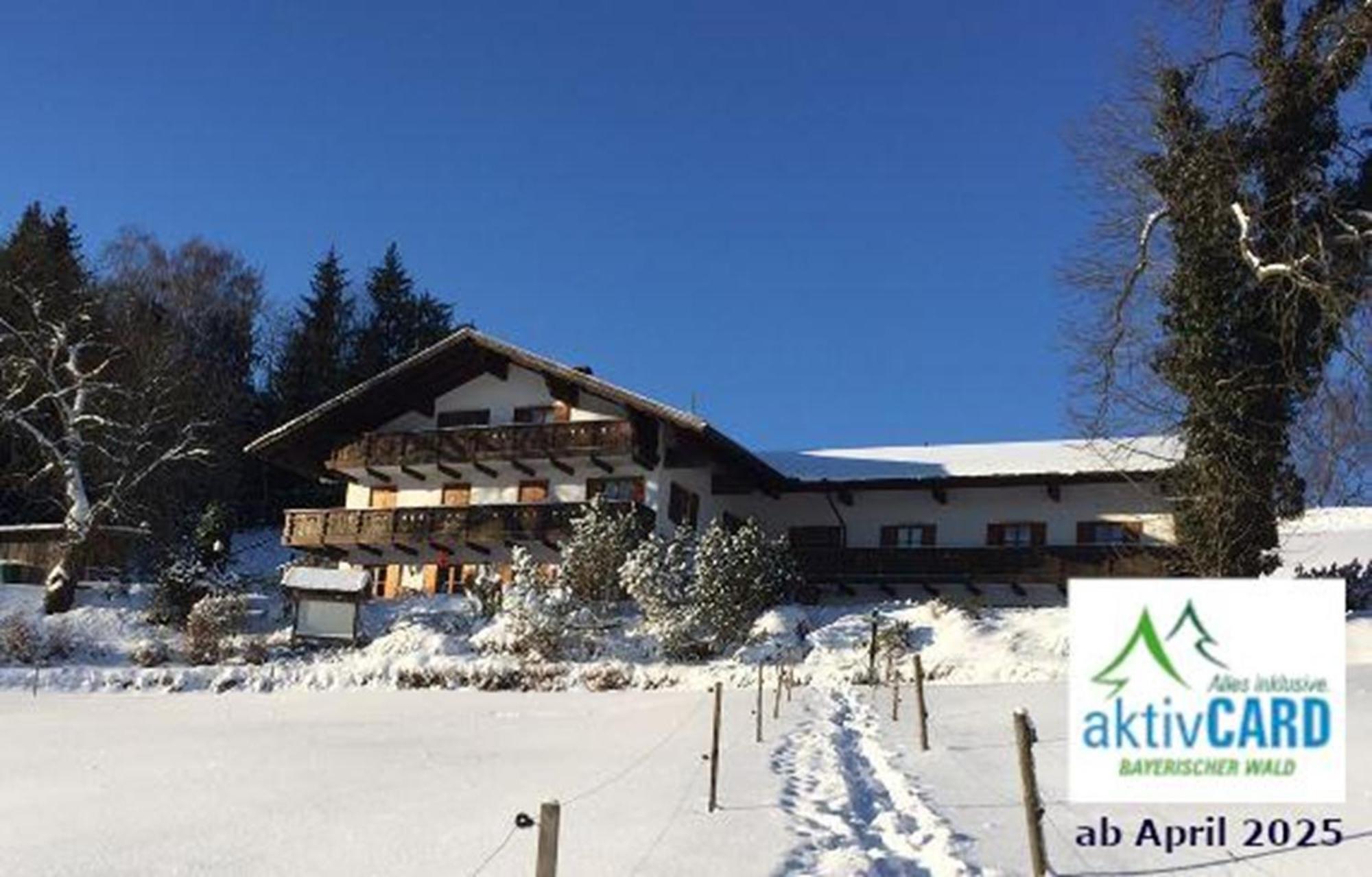 Haus Am Osterbruennl Apartment Ruhmannsfelden Екстериор снимка